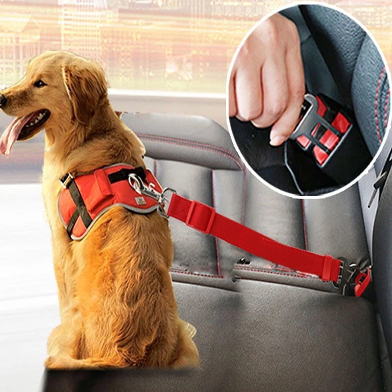 Adjustable Pet Cat Dog Car Seat Belt Pet Seat Vehicle Dog Harness Lead Clip Safety Lever Traction Dog Collars Dogs Accessoires Pets Products - FlexFinds